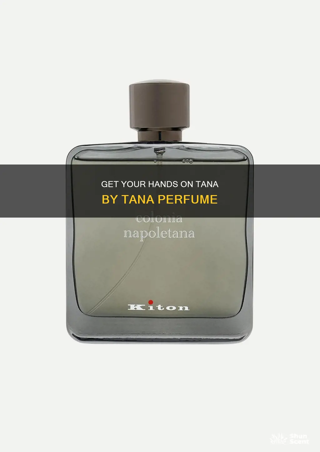 where can i buy tana by tana perfume
