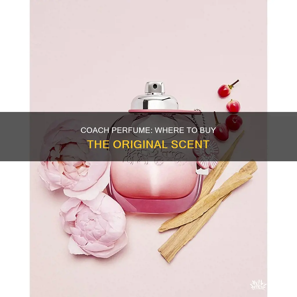 where can i buy the original coach perfume