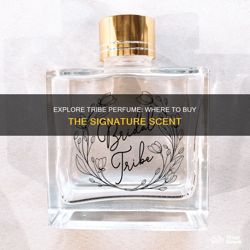 where can i buy tribe perfume