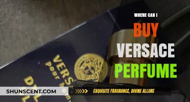 Versace Perfume: Where to Buy the Best Scents