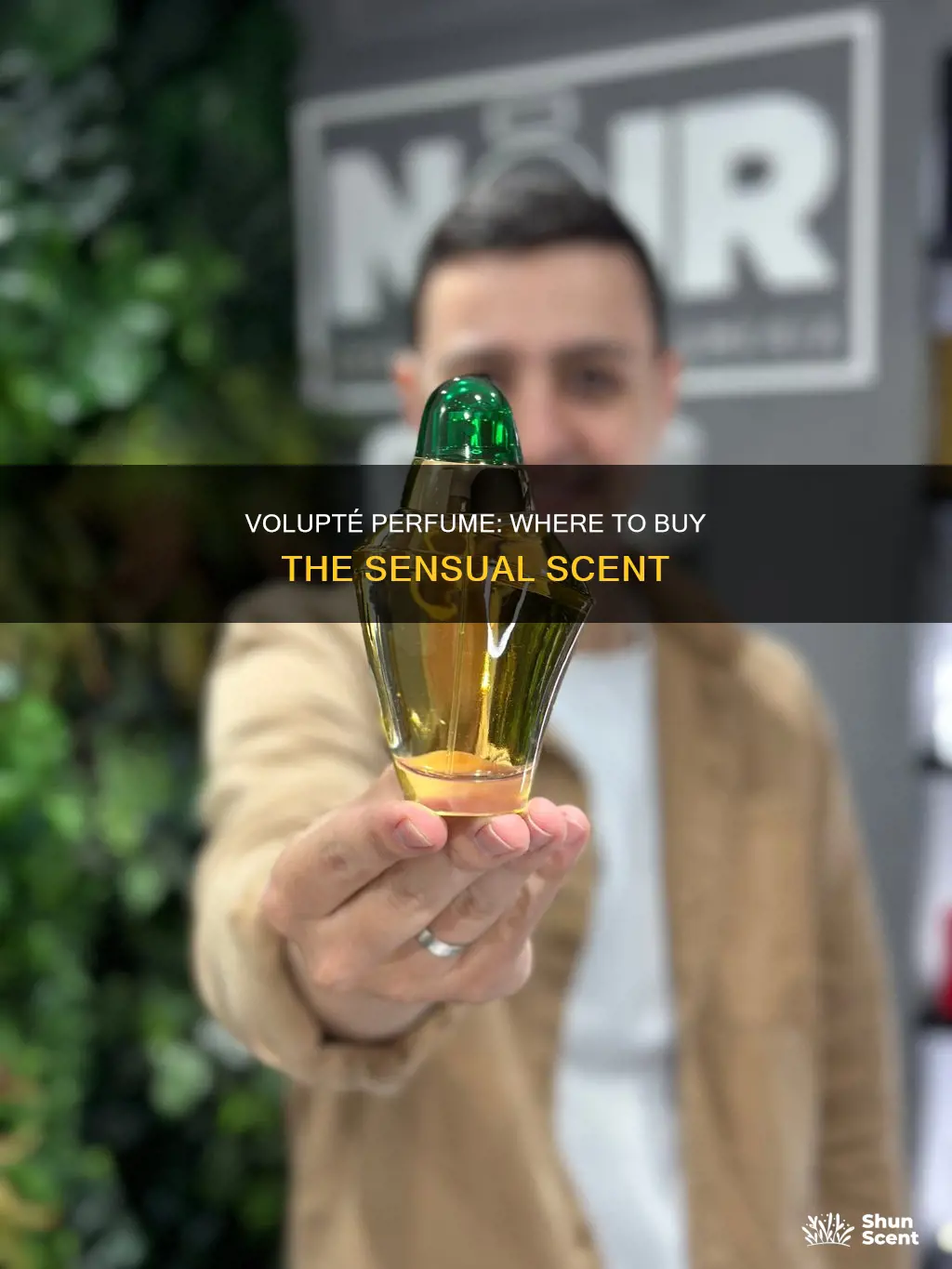 where can i buy volupte perfume