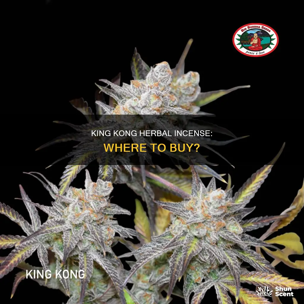 where can i buy yellow king kong herbal incense