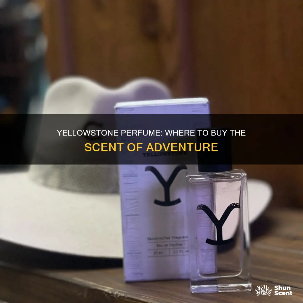where can i buy yellowstone perfume
