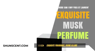 Discover Yves St Laurent Exquisite Musk Perfume Retailers