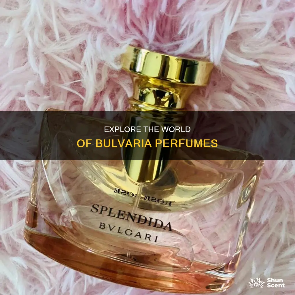 where can i find bulvaria perfume