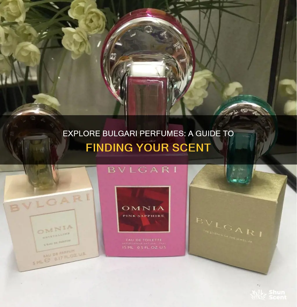where can i find bvlgari perfume