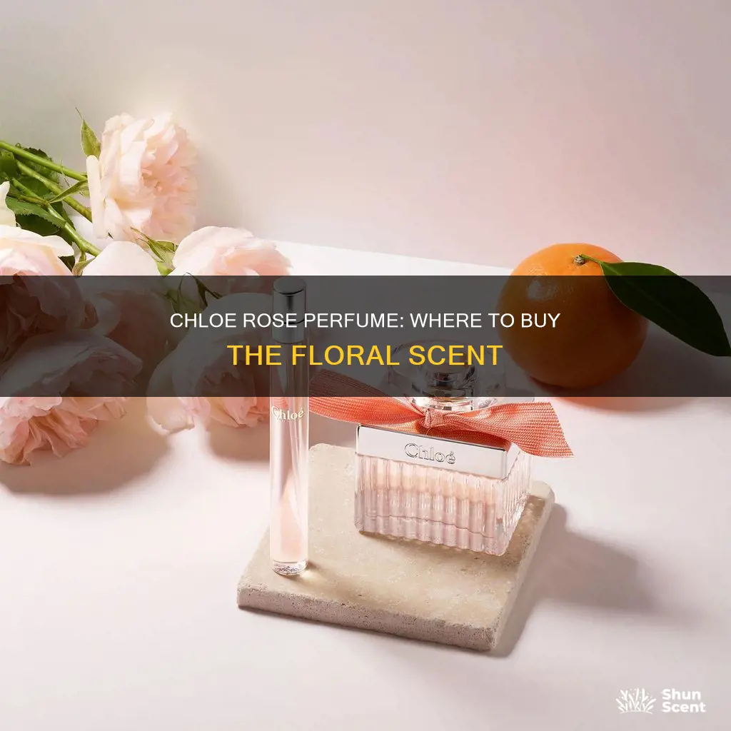 where can i find chloe rose perfume