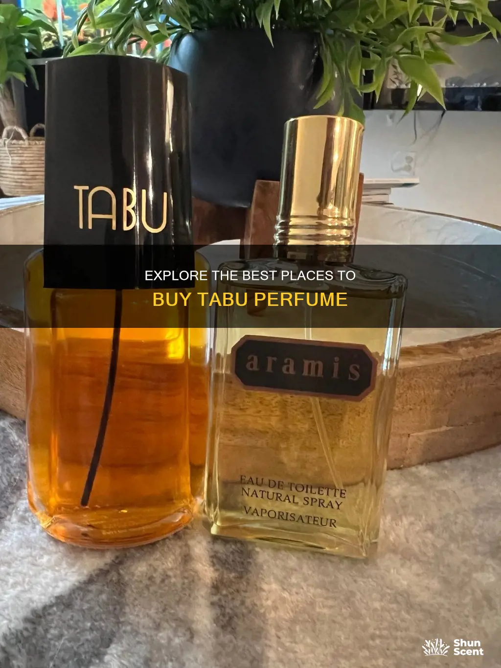 where can i find tabu perfume