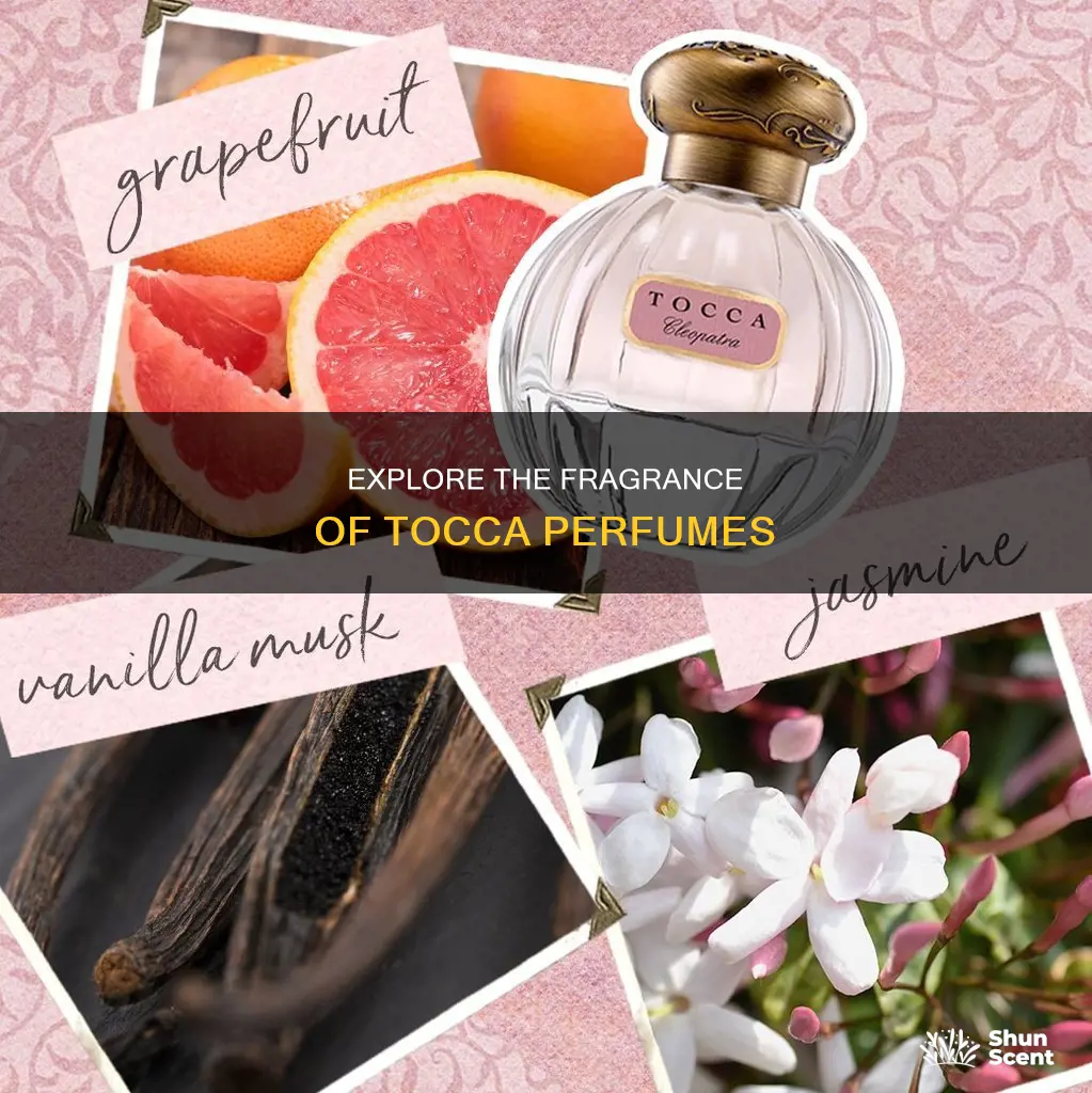 where can i find tocca perfume