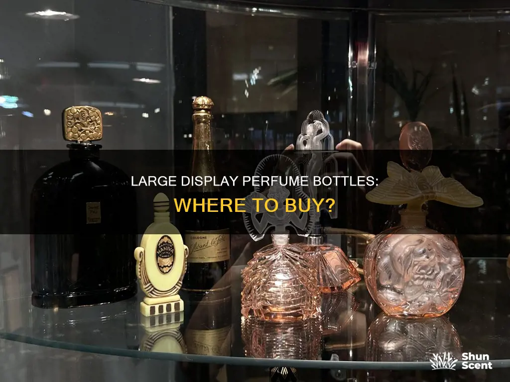 where can i get a large display perfume bottle