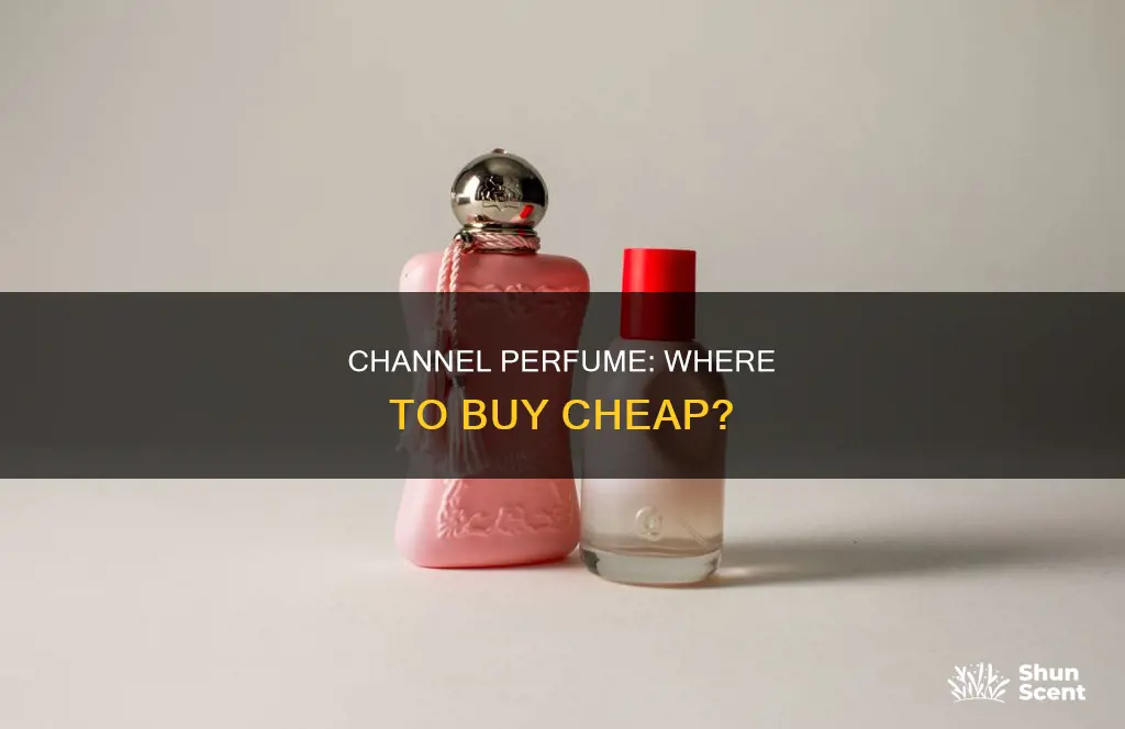 where can i get channel perfume cheapest