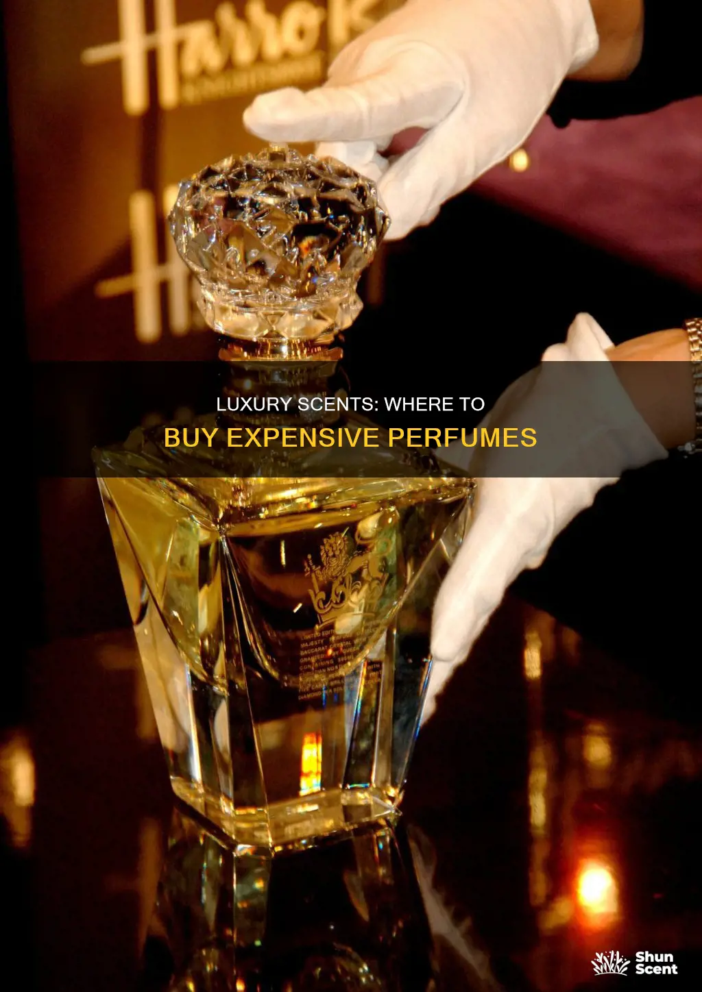 where can i get expensive perfume