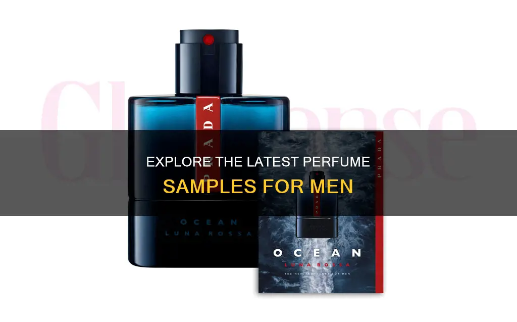 where can i get man perfum sample