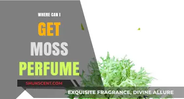 Explore the Fragrance of Moss Perfumes