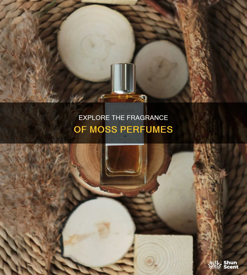 where can i get moss perfume