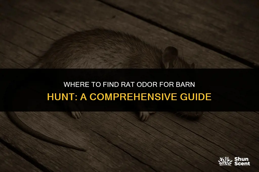 where can i get rat odor for barn hunt