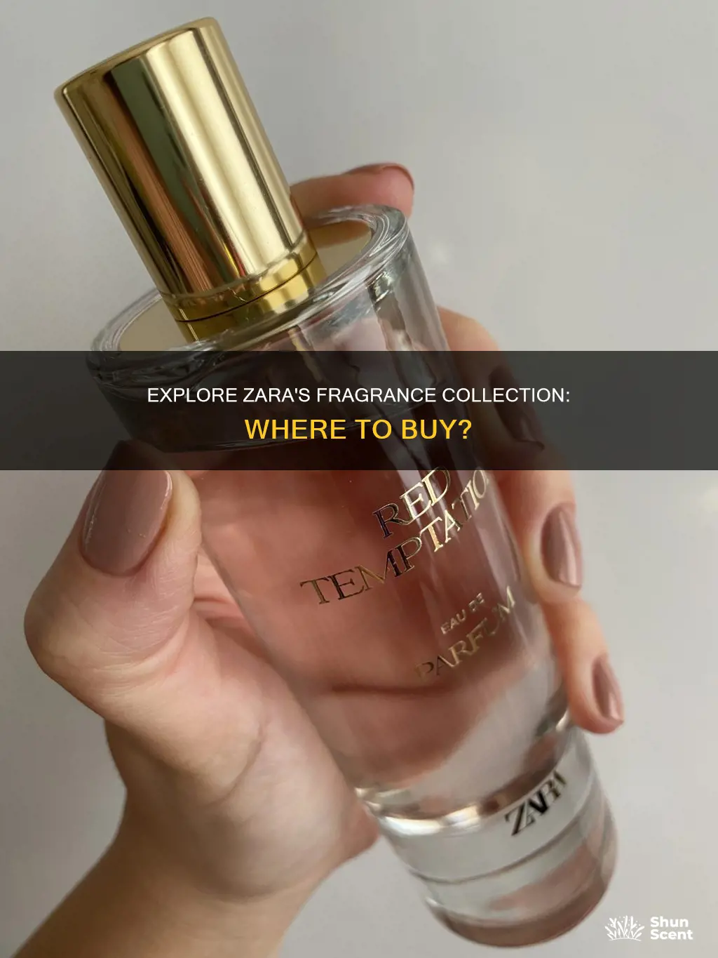 where can i get zara perfume