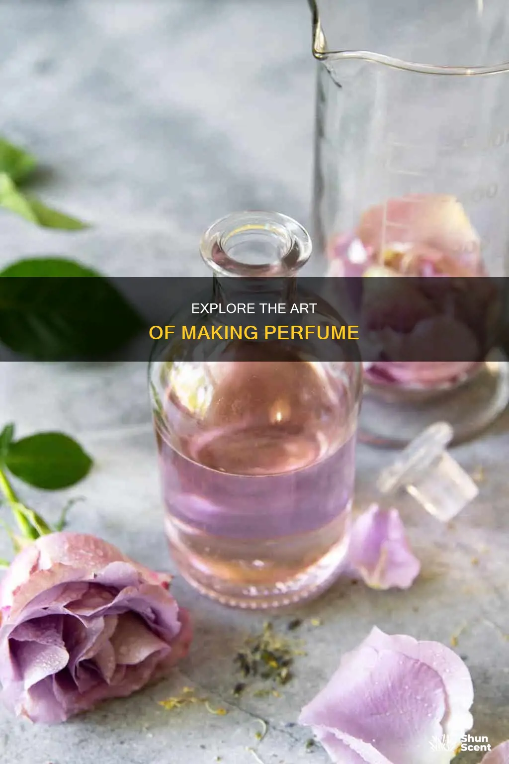 where can i make perfume
