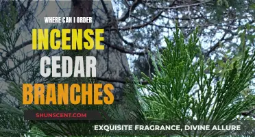 Incense Cedar Branches: Where to Order?