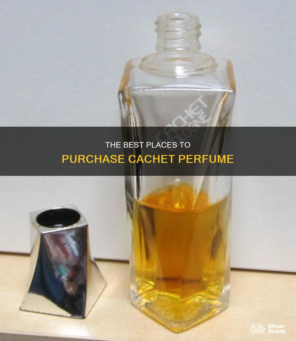 where can i purchase cachet perfume