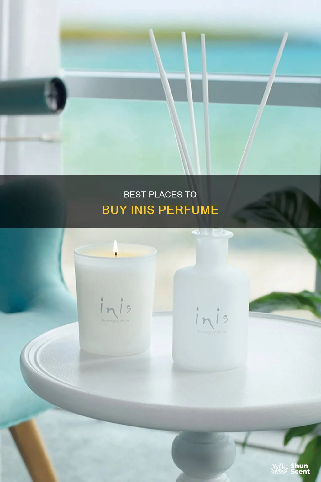 where can i purchase inis perfume