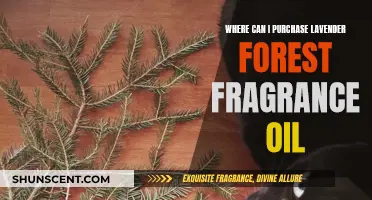 Explore the Best Places to Buy Lavender Forest Fragrance Oil