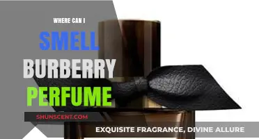 Explore Burberry Scents: Find Your Signature Fragrance