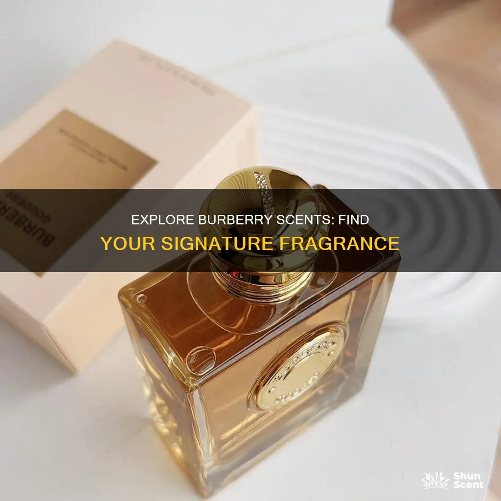 where can i smell burberry perfume