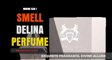 Explore Delina Perfume: A Sensory Journey