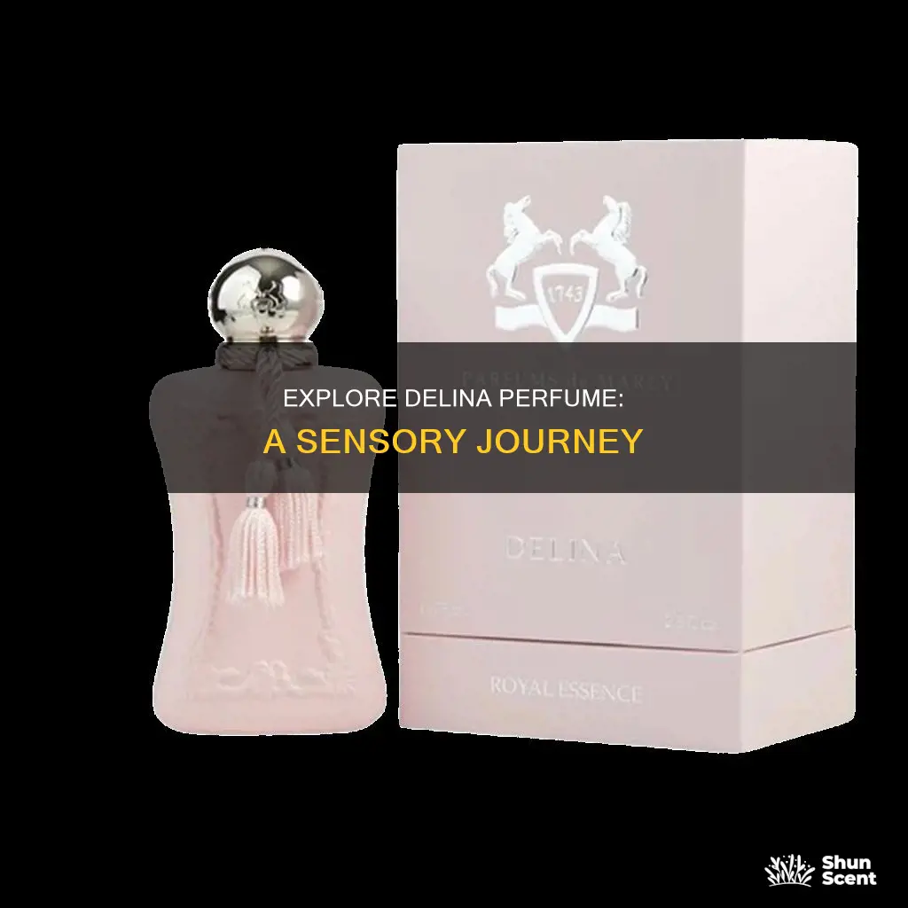 where can i smell delina perfume