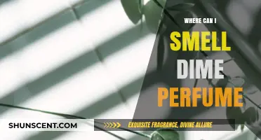Explore Places to Experience Dime Perfume