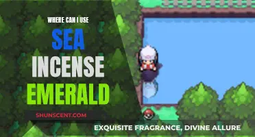 Enhance Your Space with Sea Incense Emerald