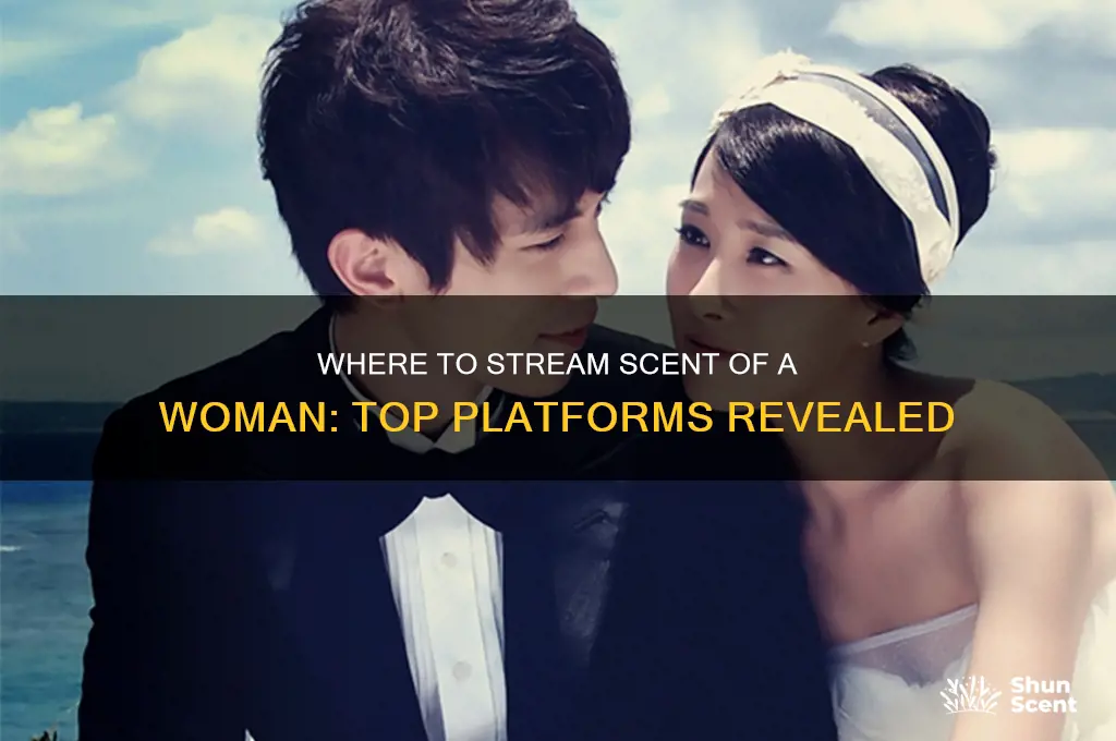 where can i watch scent of a woman