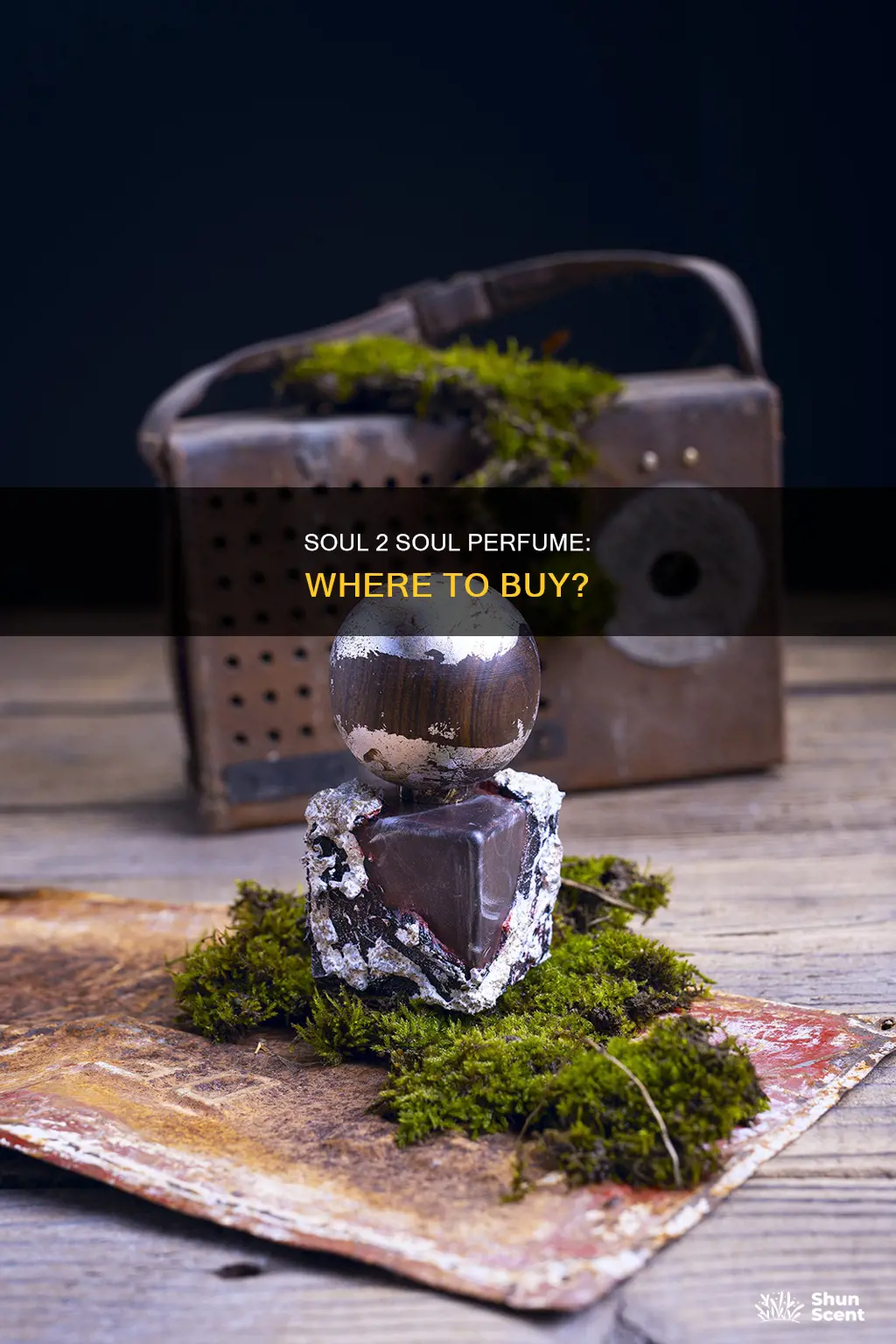 where can soul 2 soul perfume be bought