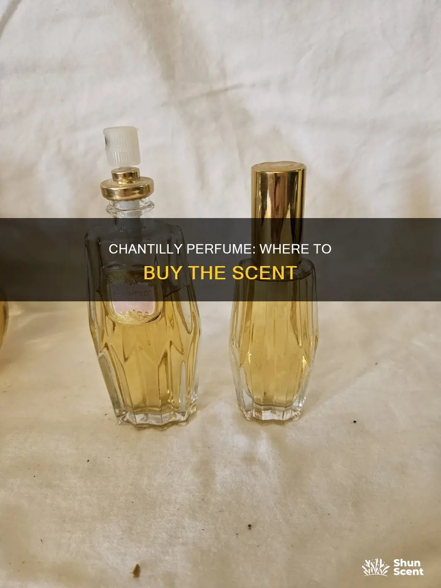 where can you buy chantilly perfume