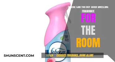 Best Fragrant Options for a Sweet-Smelling Home