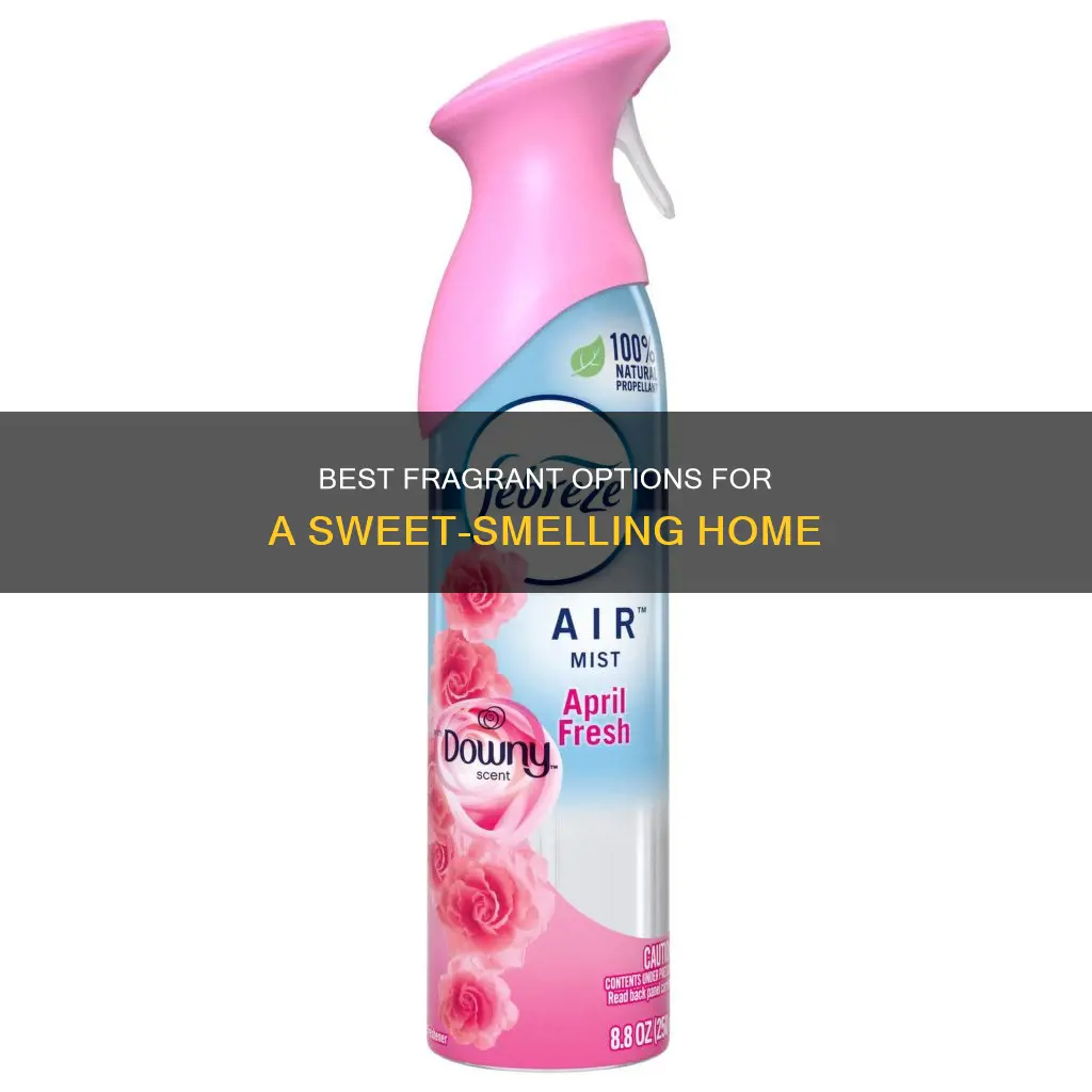 where can you buy good smelling fragrance for the room