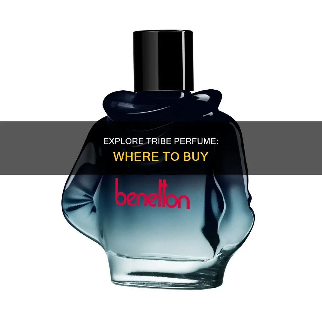 where can you buy tribe perfume