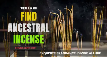 Ancestral Incense: Where to Find and Buy