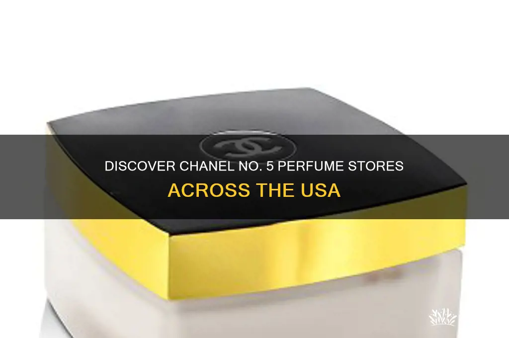 where chanel 5 perfume store usa