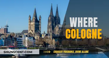 Exploring Cologne's Cultural Attractions: A Visitor's Guide