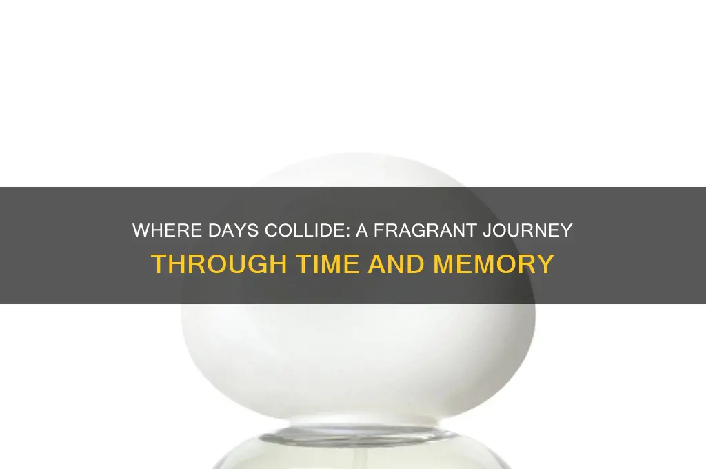 where days collide perfume