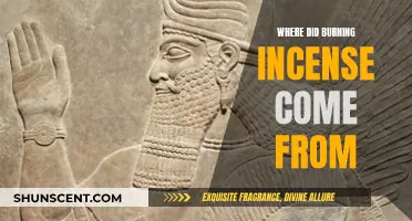 Incense Burning: Ancient Origins and Modern Practice