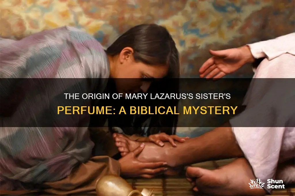 where did mary lazarus