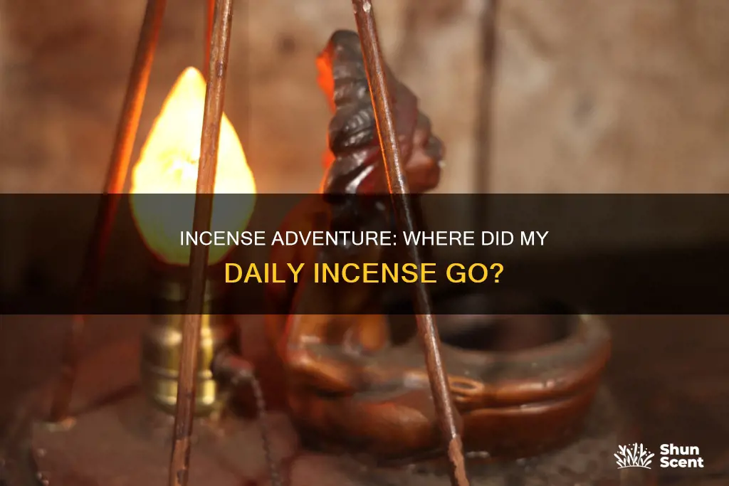 where did my daily adventure incense go