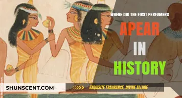 The Ancient Origins of Perfumery: Where Did the First Perfumers Appear?