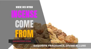 The Ancient Origins of Myrrh Incense