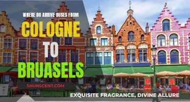 Travel Guide: Buses from Cologne to Brussels