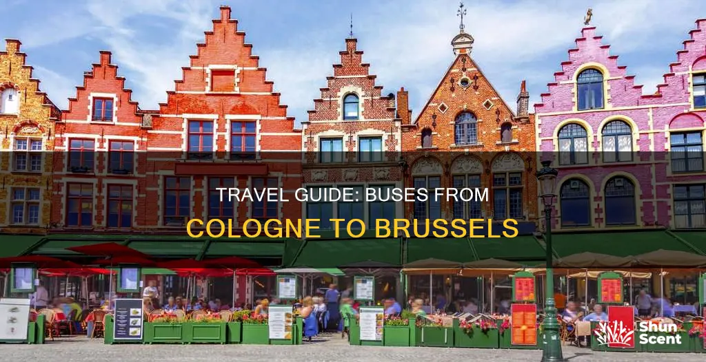 where do arrive buses from cologne to bruasels