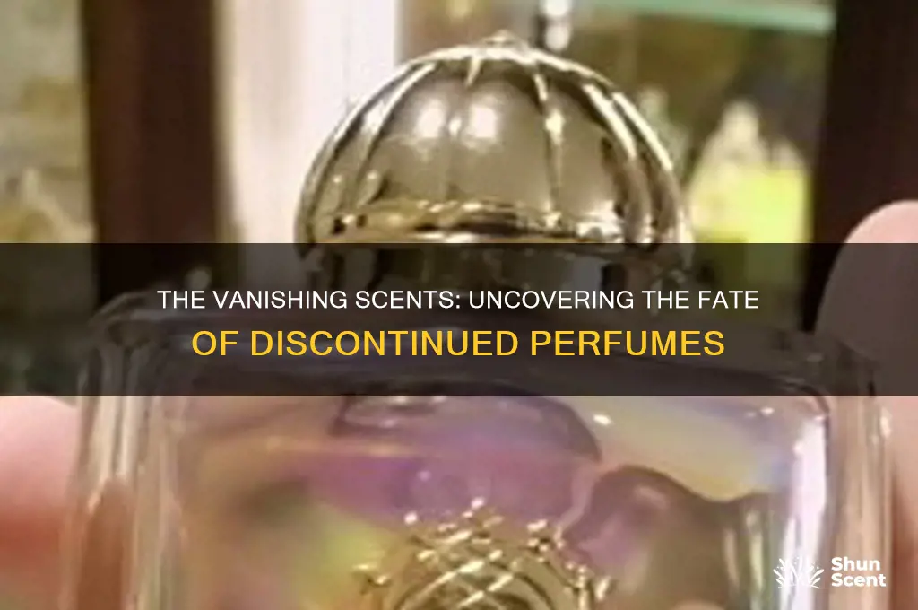 where do discontinued perfumes go